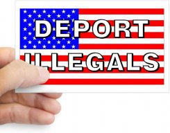 CLOSE The Border DUMB FUCKS