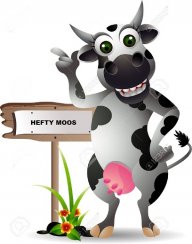 Hefty Moos Frozen Treats